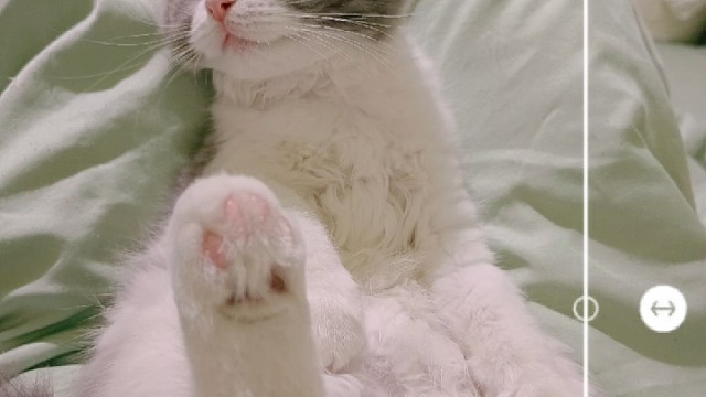 谁还不是个美女