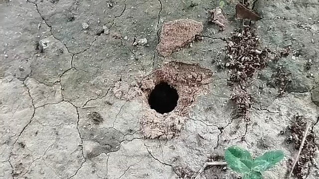 童年每个夏天的美好回忆