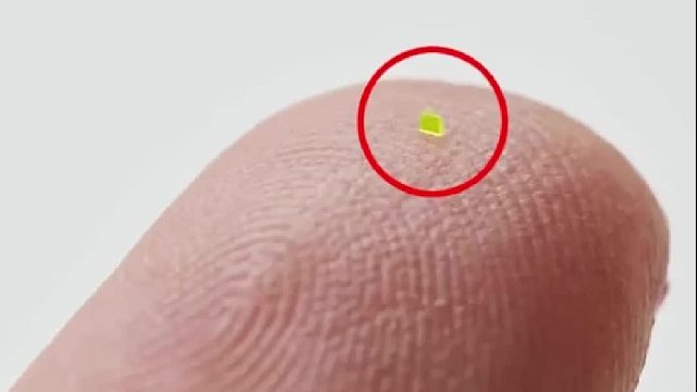 比“一粒盐”还小的LV仿制包拍出45万元高价，购买者会收到一台显微镜以方便“欣赏”