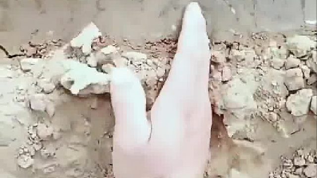 好一手祸水洞移