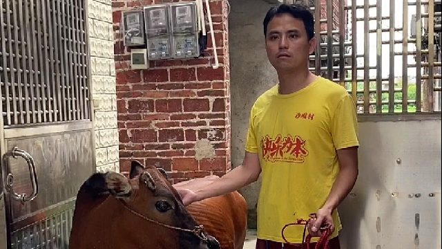 真不是个东西啊