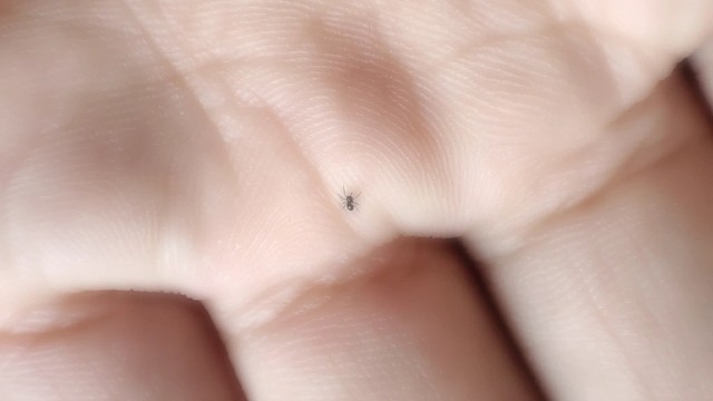 不要看它小，小也是有高级感