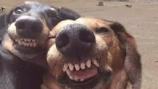 法医篇：归票位的神