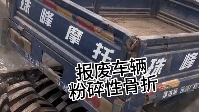 真正的铁嘴钢牙