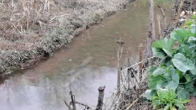 一家四口回娘家