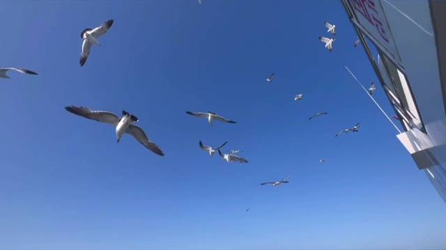 你的生活就像悬疑小说反转再反转你以为要烂尾了其实下一页就是幸福来临