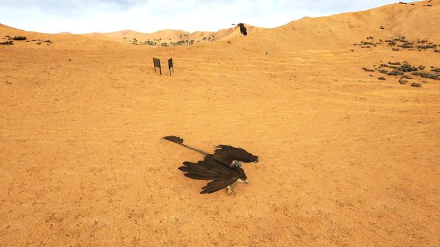 马训南巨木制广告牌卡南巨不咬你