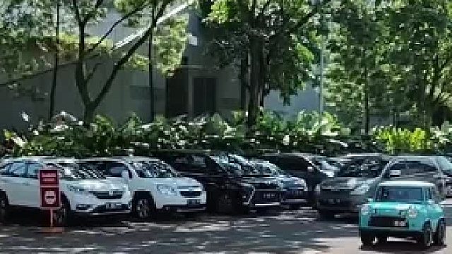 小家伙挺别致……