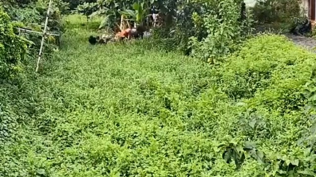 终于清理干净了，又可以扔了！