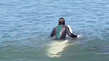 试图“霸占”冲浪板的海豹：下去吧人类！