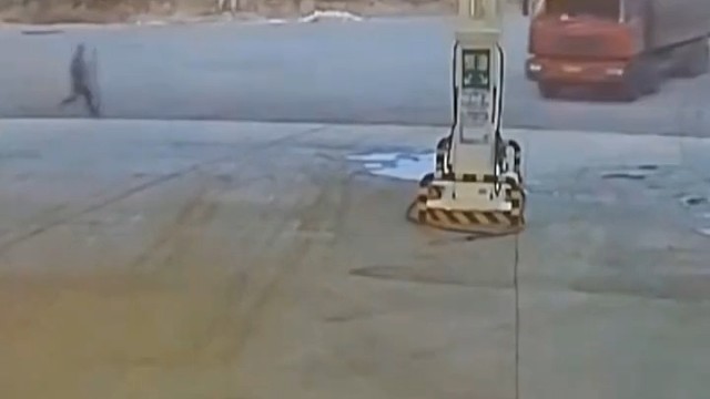 这智商命还挺大的[捂脸]