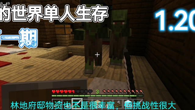 我的世界单人生存林地府邸