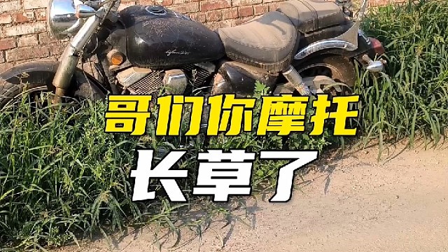 哥们你摩托长草了