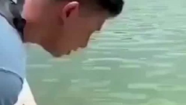 乌龟：我可谢谢您了