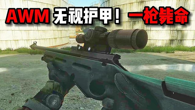 AWM 无视护甲 一枪毙命！逃离塔科夫