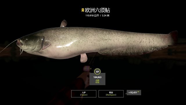 每周星猪任务完成