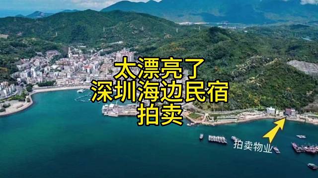 太漂亮了。深圳海边民宿。拍卖