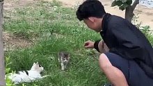男生当着猫妈妈的面拎走小猫，猫妈妈直接懵圈