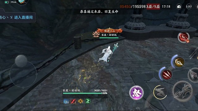 岁辰贰凤儿-万金锤-老白