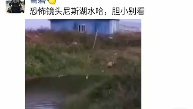 山村老哈