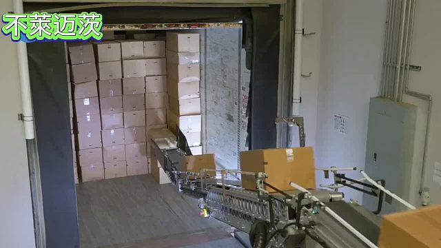 山东不莱迈茨全自动伸缩式装卸车输送机