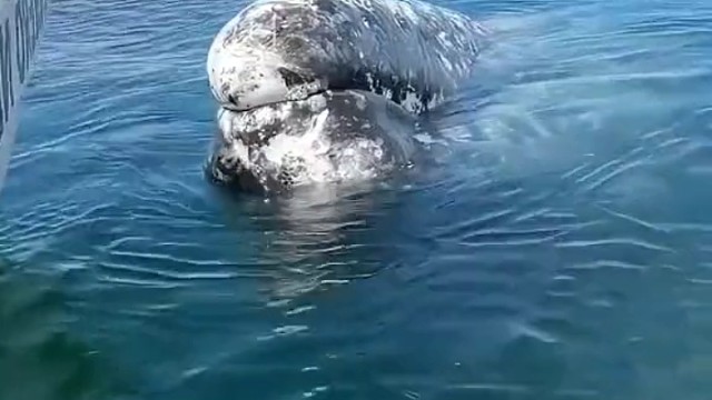 好了，三天不能碰水，戒辛辣