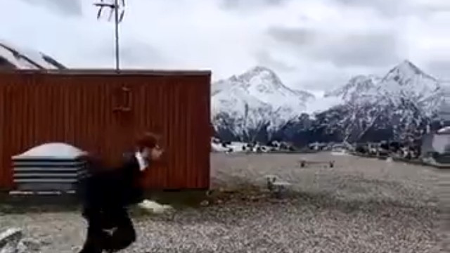 这都没事[歪嘴]