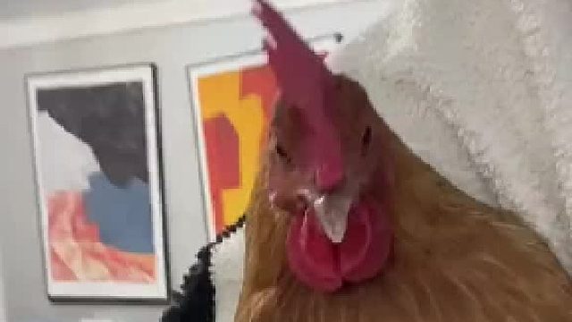 .胜男：不，你不饿