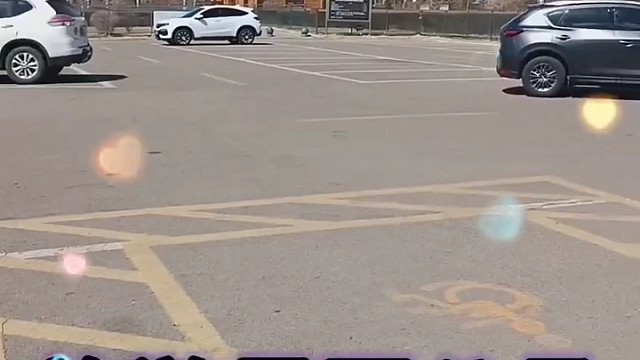 离我家附近不远的公园