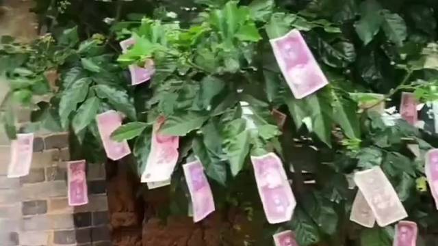 想不想一起来发财，首先做个发财梦！