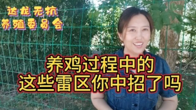 养鸡过程的这些雷区你中招了吗