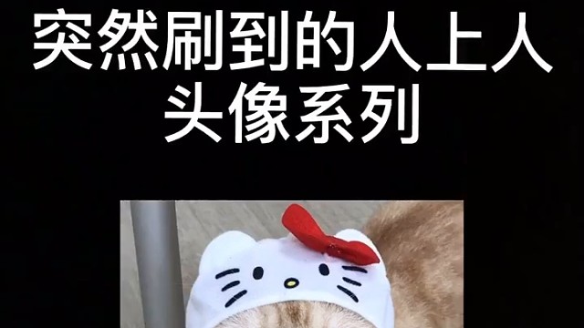 这就是人上人吗