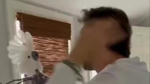 这不是治好了，是彻底疯了