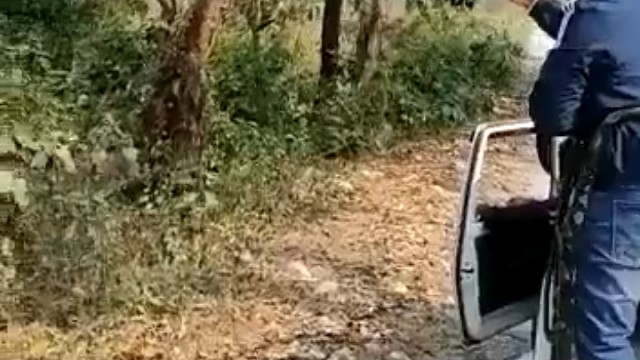 犀牛：犀帅快出来二路公交车到了