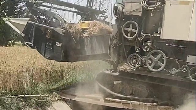 木桥真结实，这样也不断