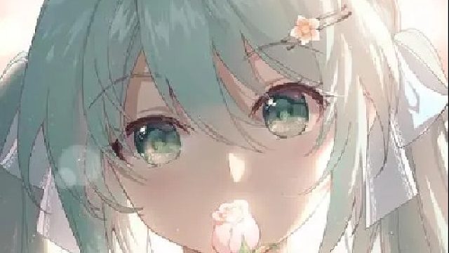 感谢曼卿小姐姐开通的年超粉plus哈哈哈哈仔仔的第二位年超粉瞬间起飞