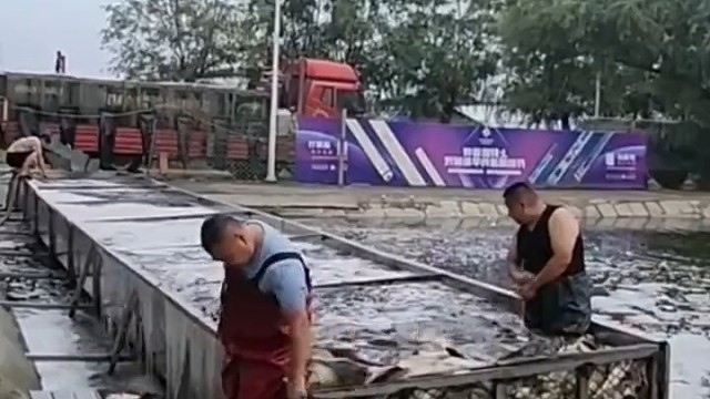 见者好运连连……