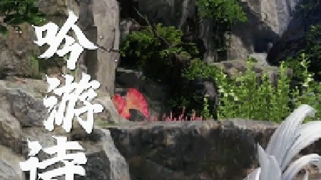 【命运方舟】聆听吟游诗人的战斗旋律！