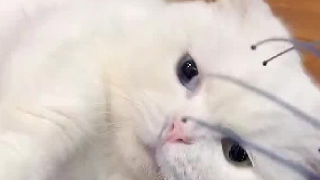 这玩意有人试过真的这么舒服吗？