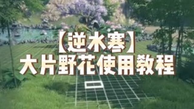 【逆水寒】大片野花使用教程