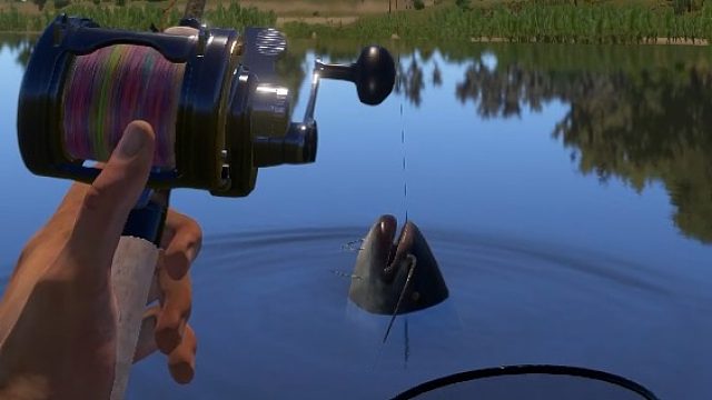 150的居头长这样