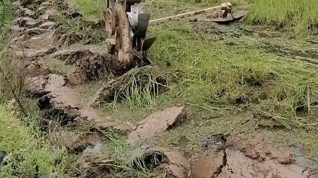 这个机器可以不错