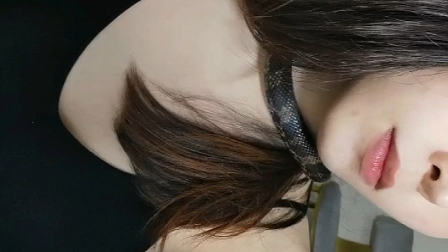 从小养大的棕黑宝宝，真的好温顺