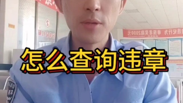 怎样查询违章