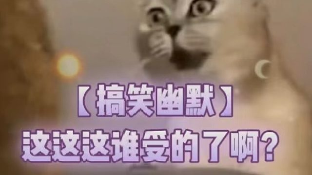 【搞笑幽默】这这这谁受得了啊？