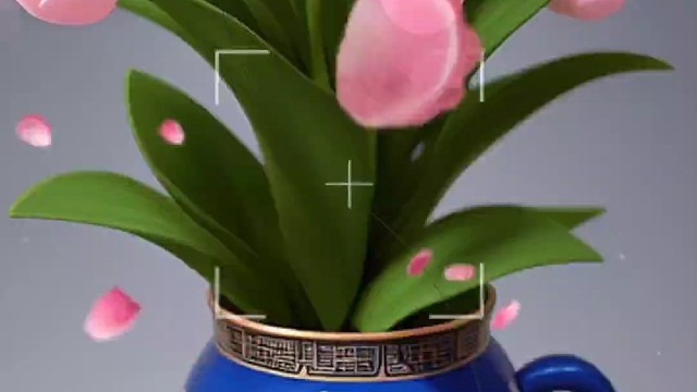 中午好大神们，我好几天没玩游戏了啊，今天中午开一下播让我打的菜，但是我也很开心。就是这几天没空。