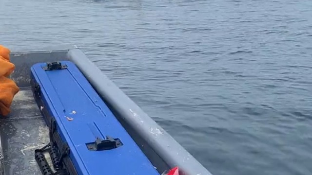 很明显它不想做