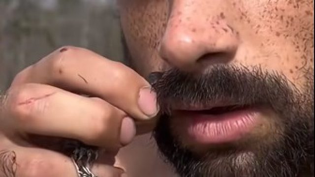 嘚瑟的护林员想拖走挡道的鳄鱼，结果只抓到了鳄鱼宝宝闹出笑话