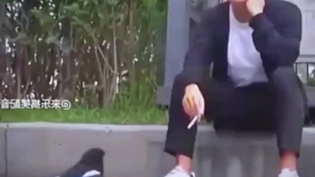 你说这能怪大哥吗，这锅大哥可不背