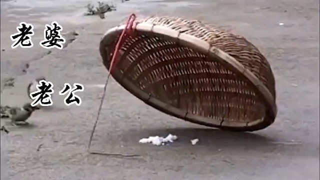 被呵护被爱的感觉真的很好